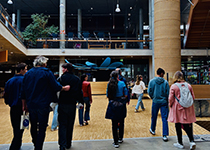 Universitätsbibliothek