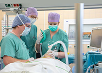 PJ-Studierende üben PJ-Studierende üben