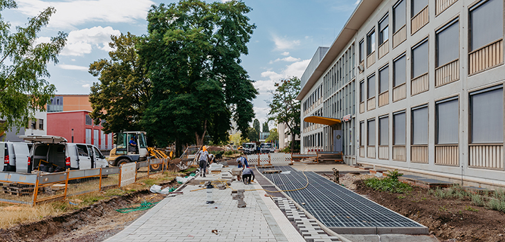 Campus-Allee