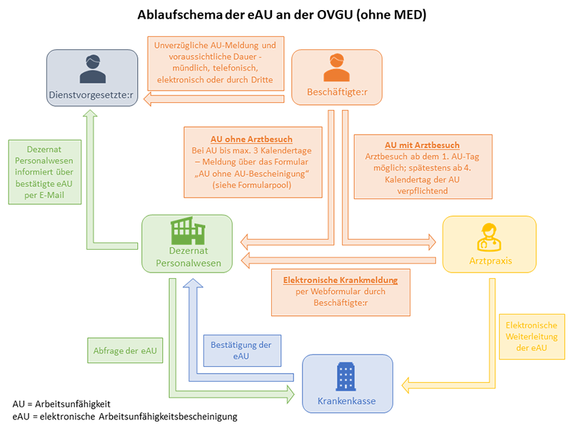 Grafische Darstellung des Ablaufs der elektronischen Arbeitsunfähigkeitsmeldung