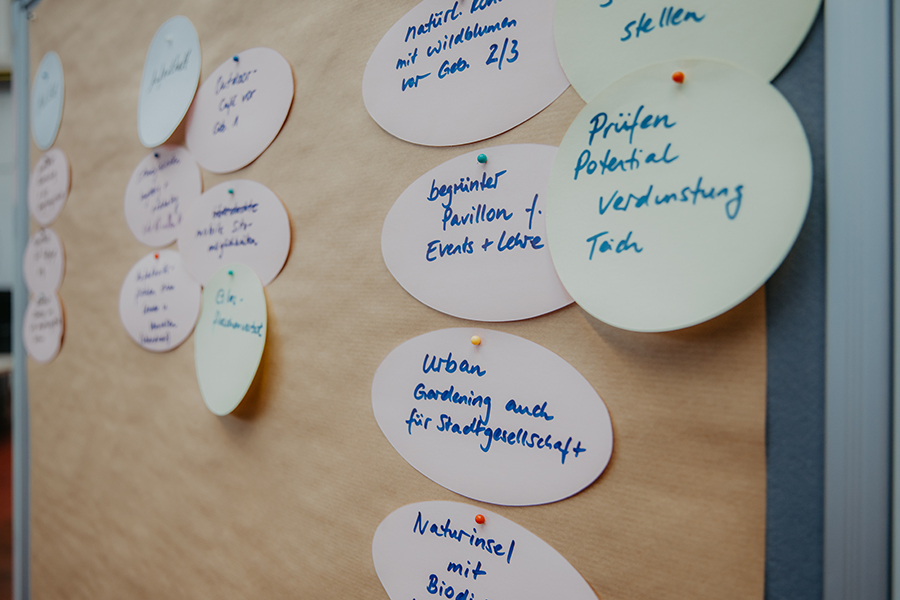 Impressionen World Café Campusgestaltung (c) Anna Friese Uni Magdeburg Mehrere Zettel an einer Pinnwand beim World Café zum Thema Campusgestaltung; auf den Zetteln steht unter anderem Urban Gardening, begrünter Pavillion oder Naturinsel (c) Anna Friese Uni Magdeburg