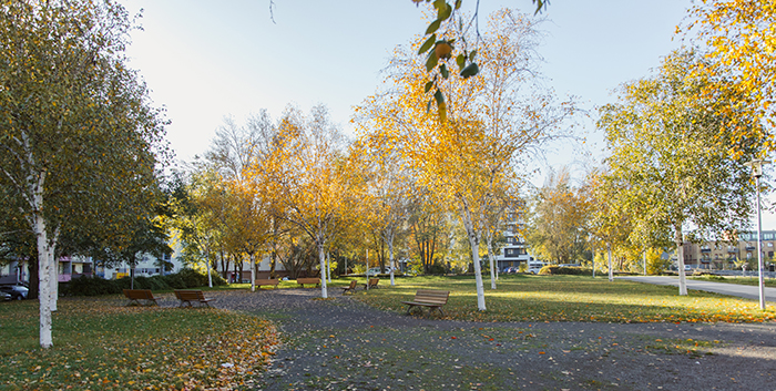 Herbst auf dem Campus